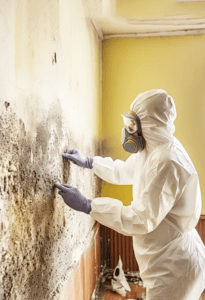 Mold Remediation in NYC