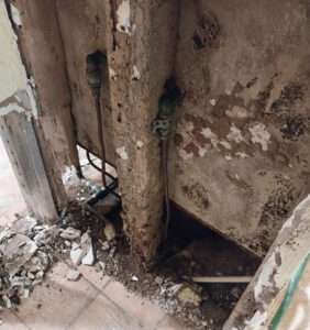 Top-Rated Mold Inspection in NYC