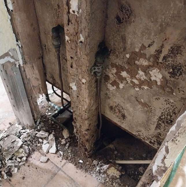 Top-Rated Mold Inspection in NYC