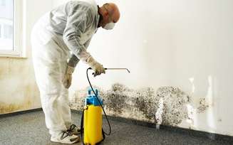 Emergency Mold Removal in NYC