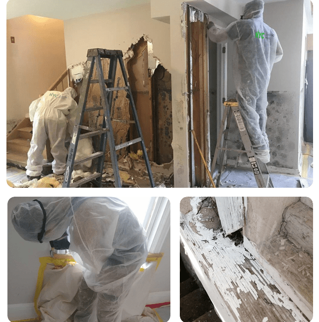 Expert Mold Removal in NYC