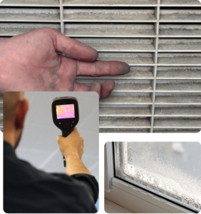 Mold Inspection in NYC