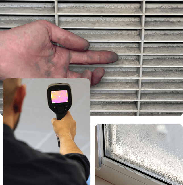 Mold Inspection in NYC
