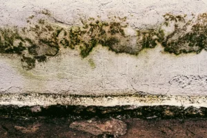 How long does Mold Removal in NYC take