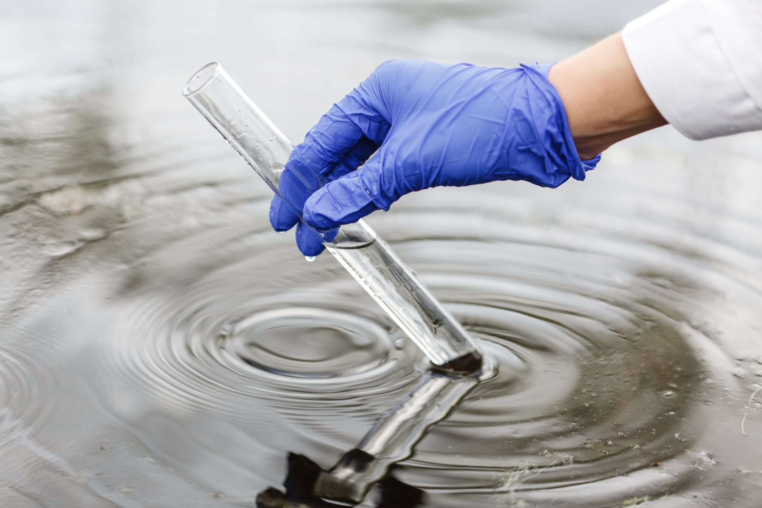 Lead Water Testing Cost