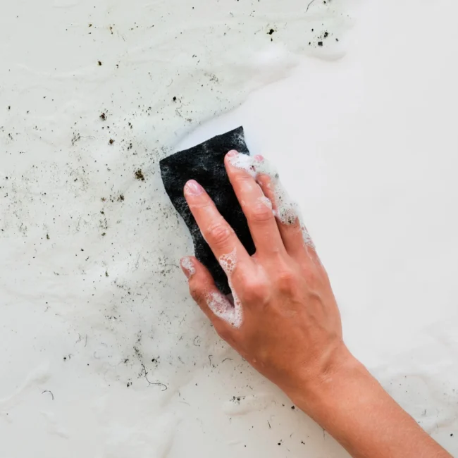 Does Bleach Kill Black Mold