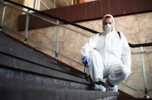 How to Choose a Trustworthy Mold Remediation Contractor