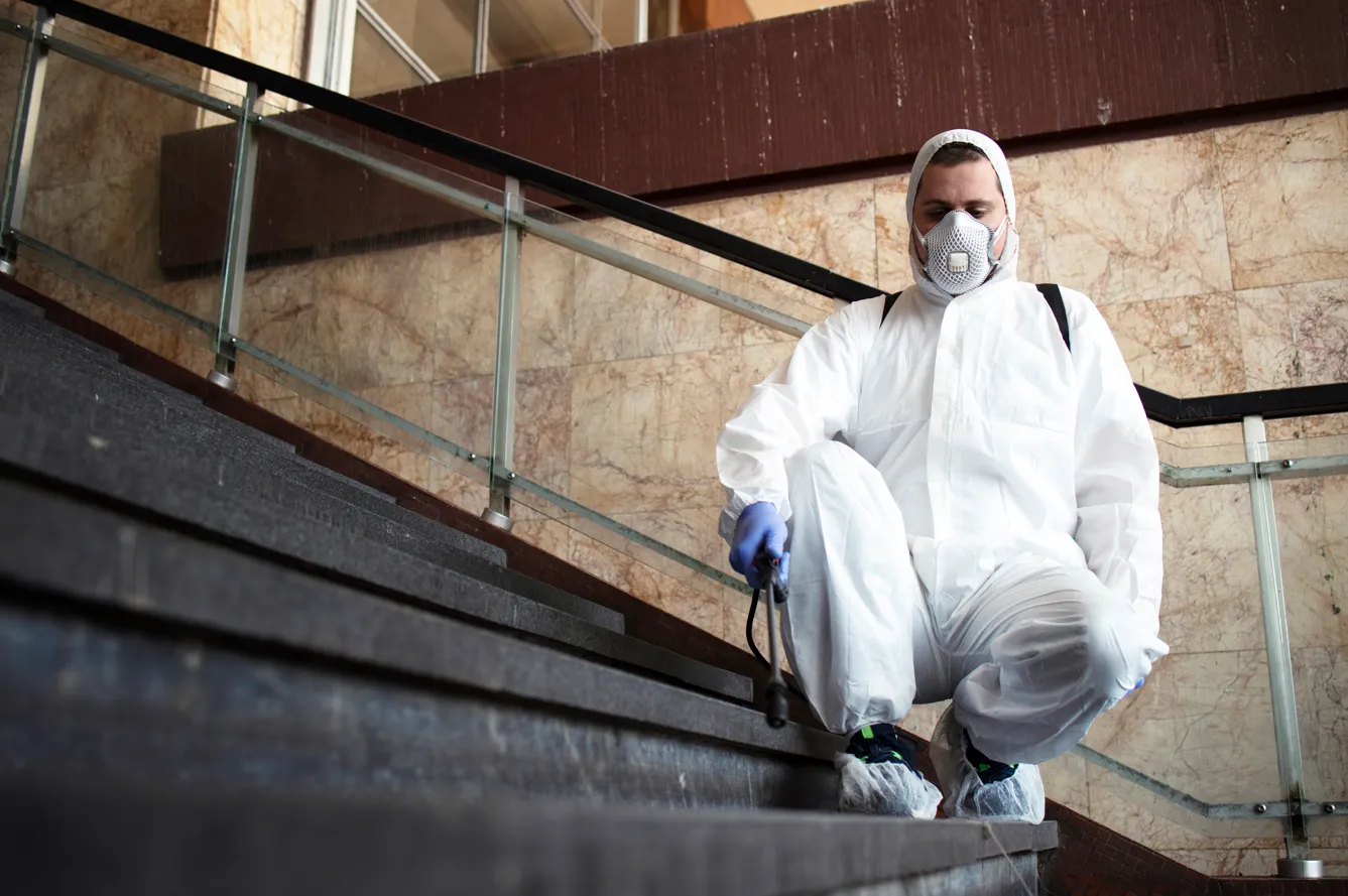 How to Choose a Trustworthy Mold Remediation Contractor